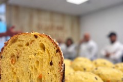 Demo Collettiva Dallagiovanna-Conpait "Panettone" - Elle&Elle